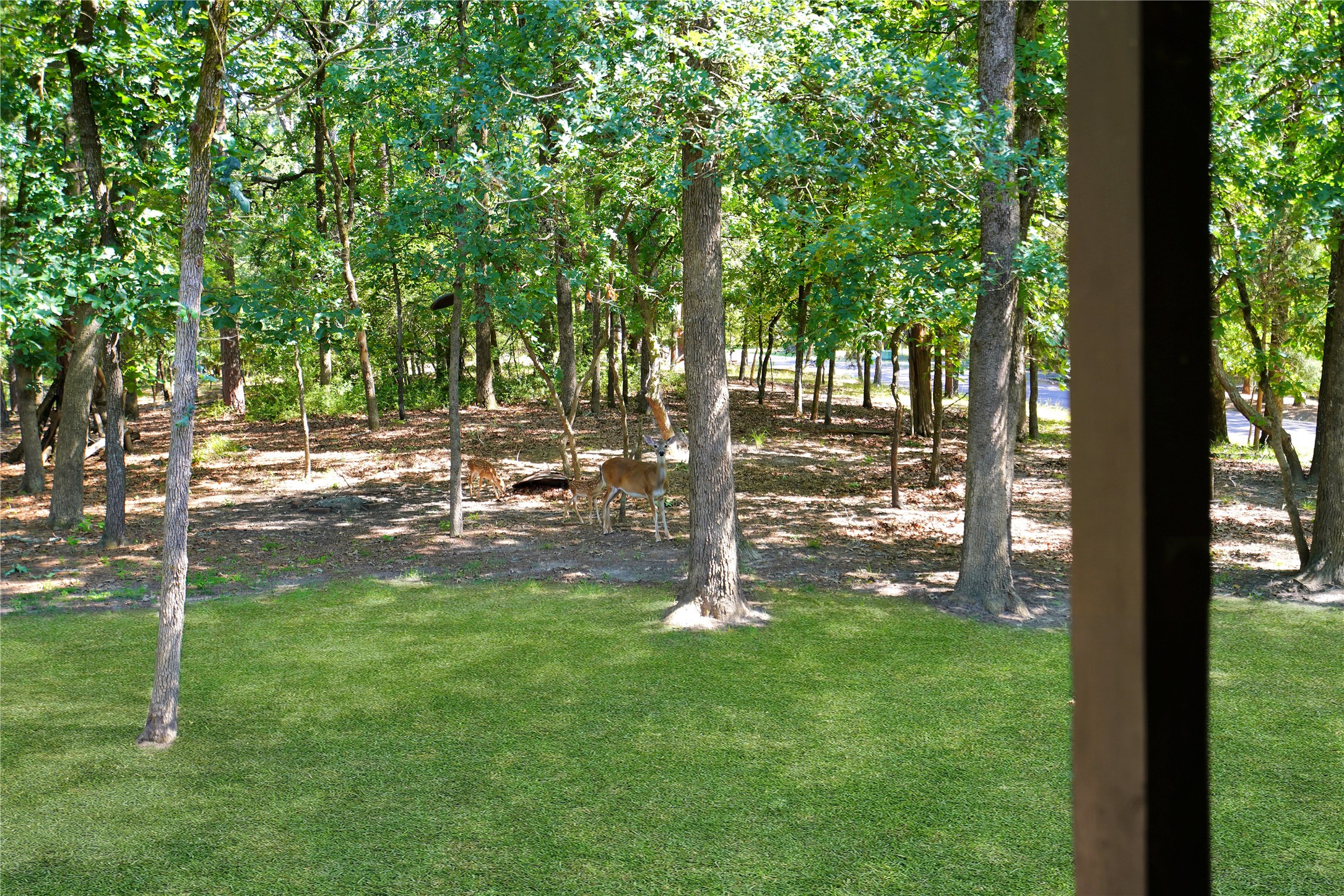 245 Larchwood Path Holly Lake Ranch TX 75765