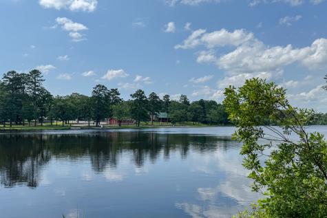 245 Larchwood Path Holly Lake Ranch TX 75765