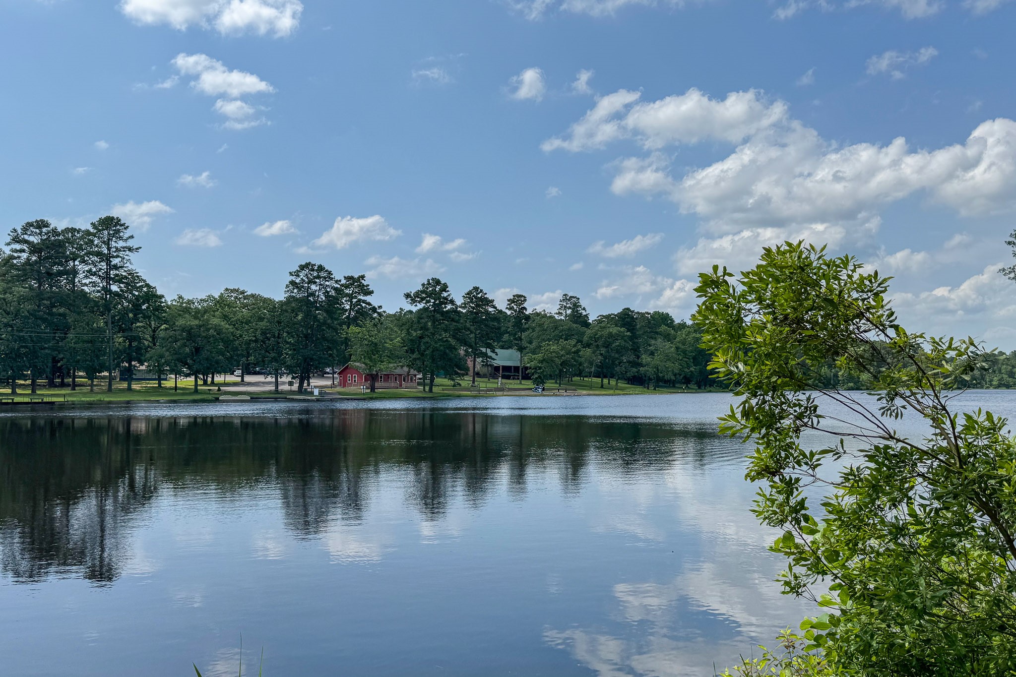 245 Larchwood Path Holly Lake Ranch TX 75765