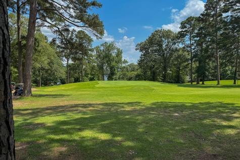 245 Larchwood Path Holly Lake Ranch TX 75765