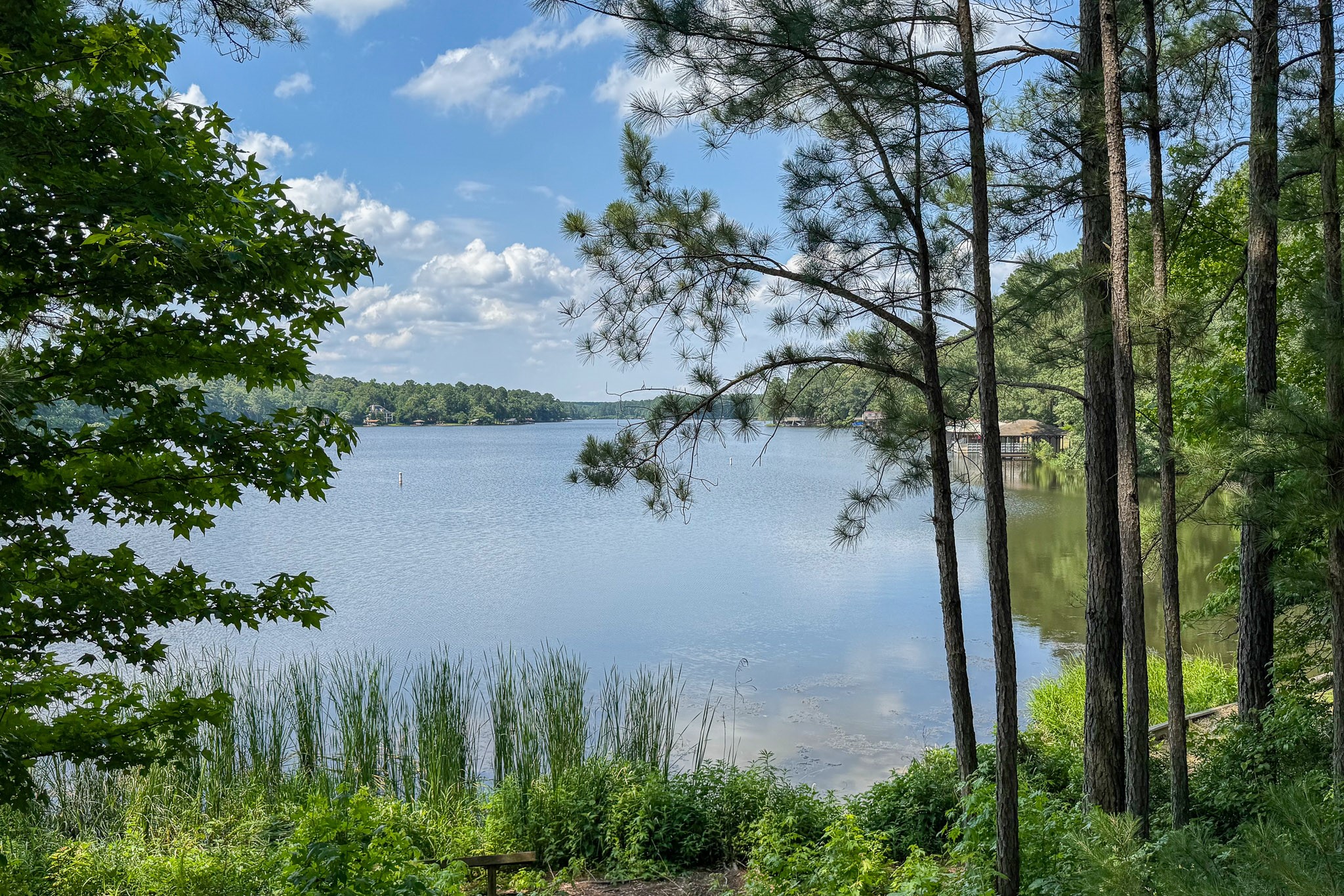 245 Larchwood Path Holly Lake Ranch TX 75765