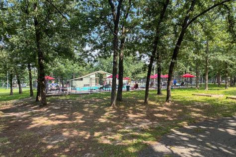 245 Larchwood Path Holly Lake Ranch TX 75765