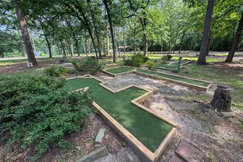 245 Larchwood Path Holly Lake Ranch TX 75765