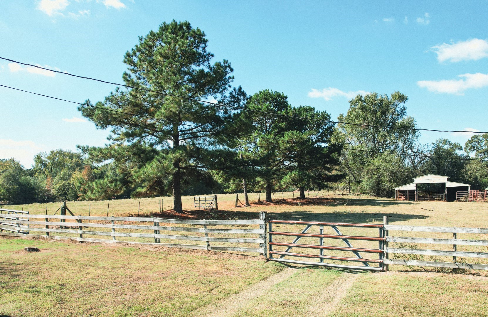 1191 County Road 4186 Quitman TX 75783