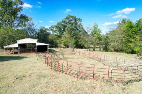 1191 County Road 4186 Quitman TX 75783