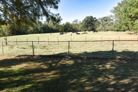1191 County Road 4186 Quitman TX 75783