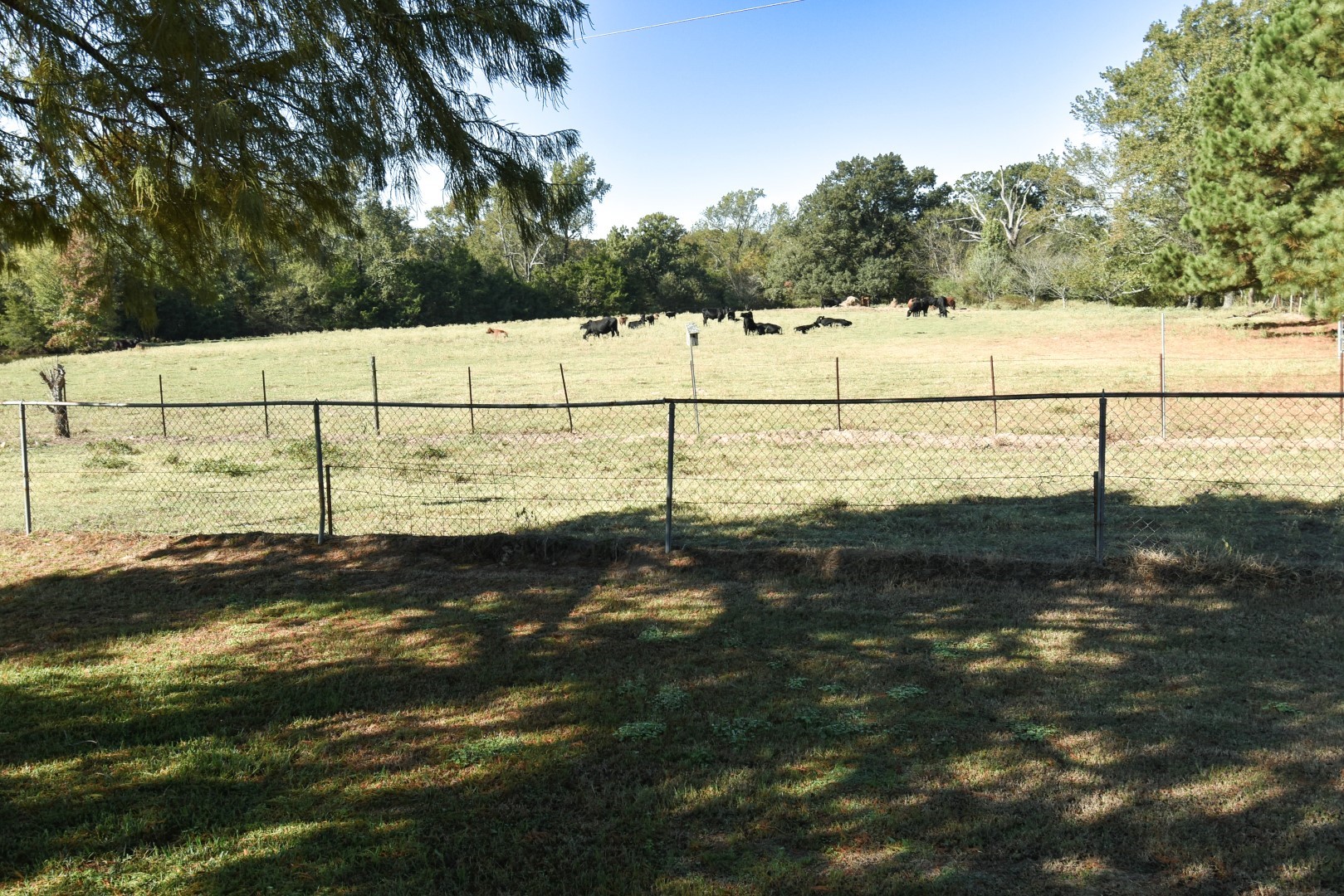 1191 County Road 4186 Quitman TX 75783