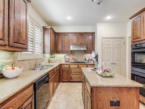 923 South Fork Drive Allen TX 75013