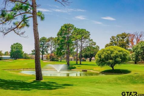 1614 Morningside Trail Hideaway TX 75771