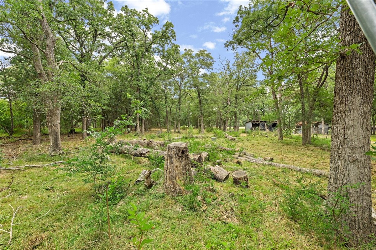 10050 W Fm 744 Barry TX 75102