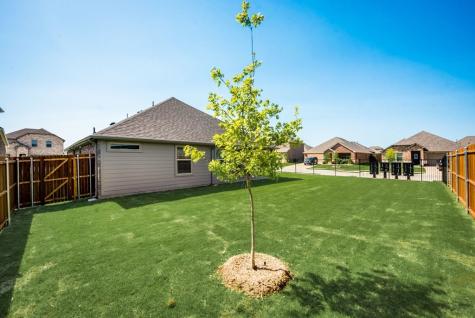 605 Cedar Springs Drive Princeton TX 75407