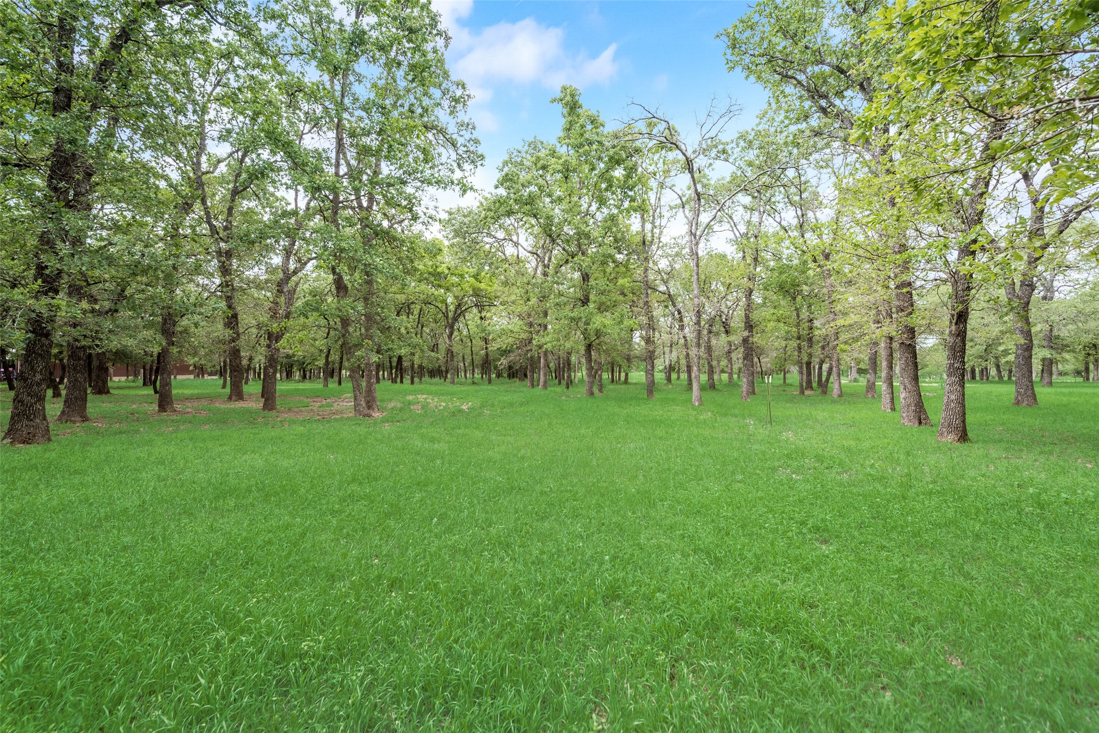 460 J E Woody Road Springtown TX 76082