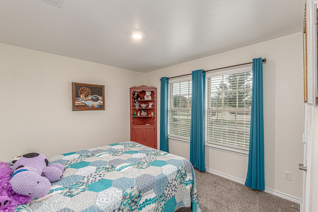 213 Pintail Drive Caddo Mills TX 75135
