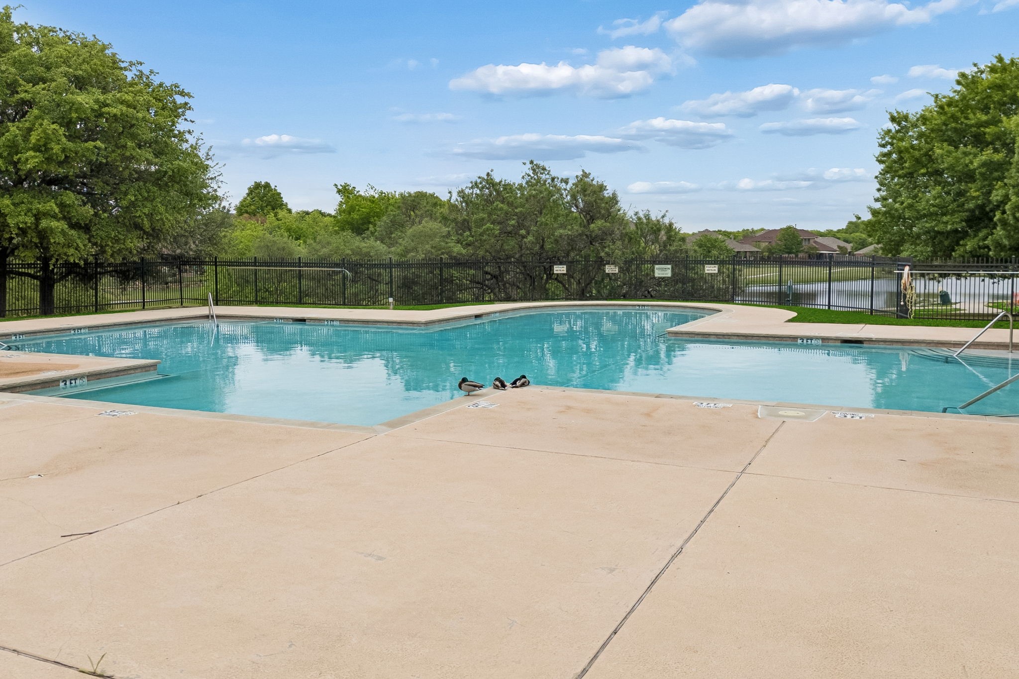 8004 Larch Lane Fort Worth TX 76131