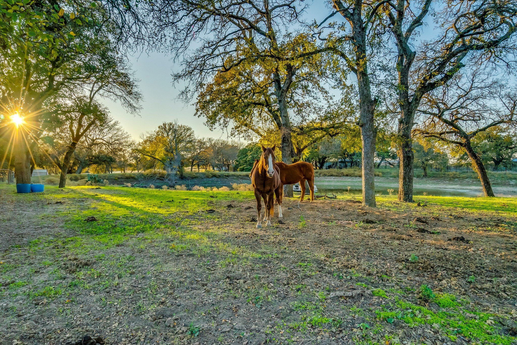 109 Tango Road Weatherford TX 76087