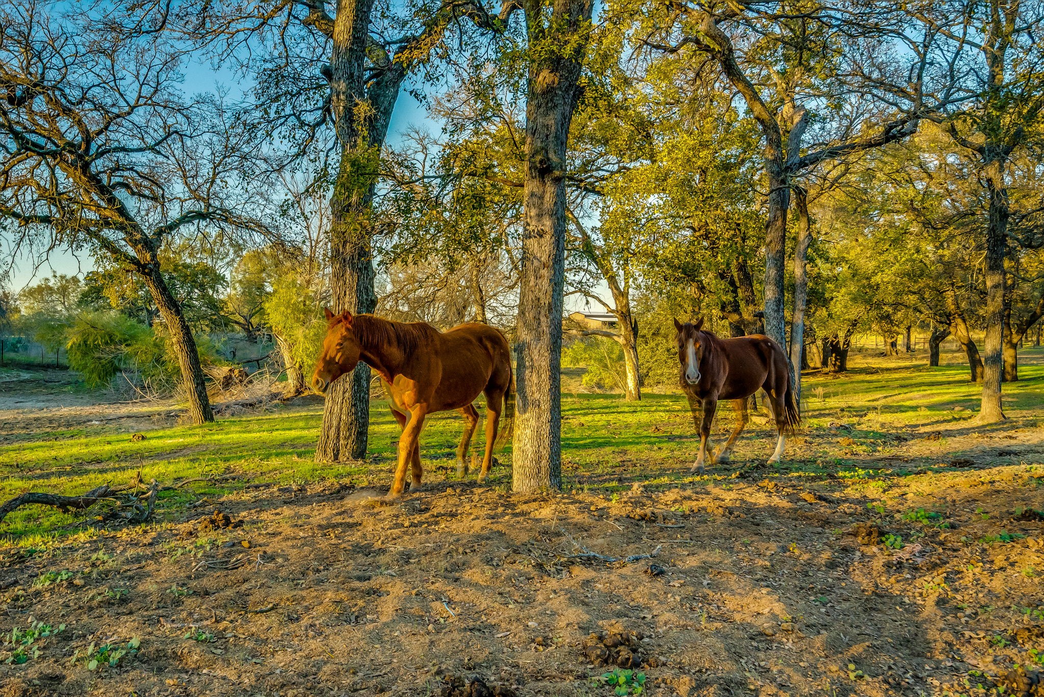 109 Tango Road Weatherford TX 76087