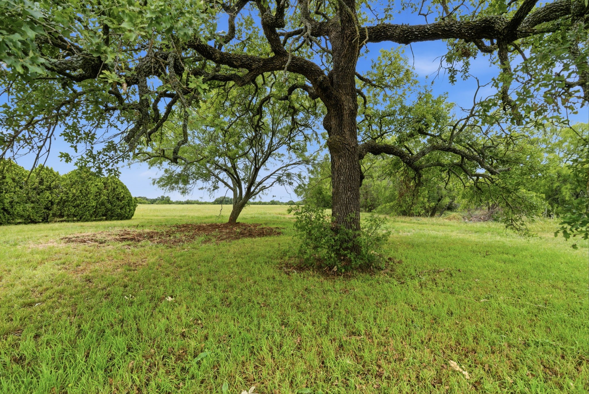16665 State Highway 206 Cross Plains TX 76443
