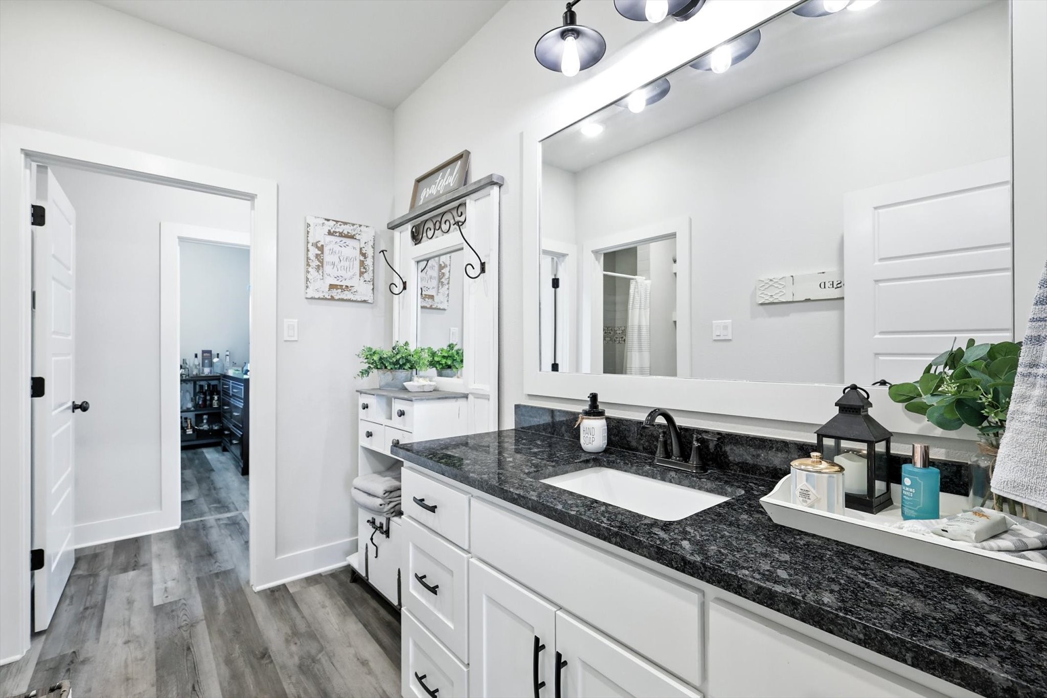 7025 Lake Vista Drive Streetman TX 75859