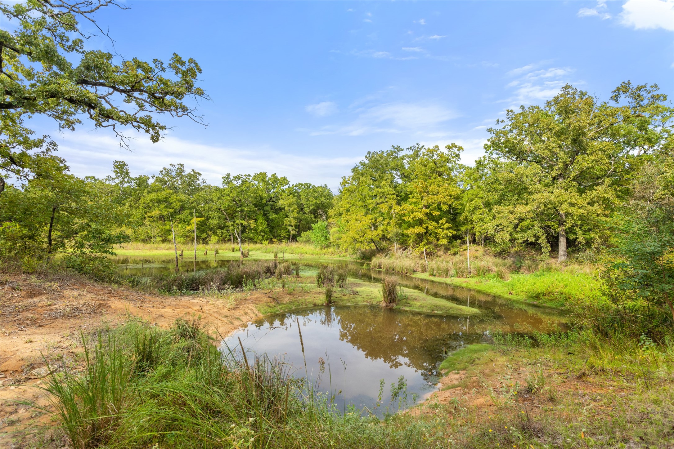 10273 Private Road 5211 Malakoff TX 75148