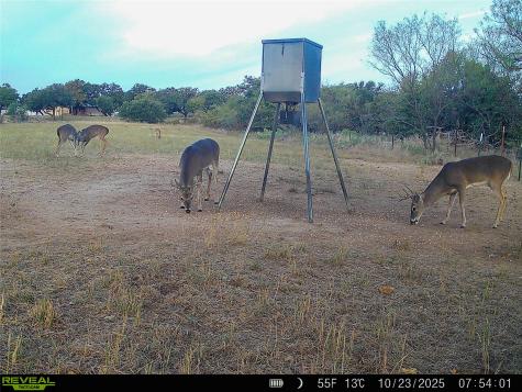 2417 Highway 569 Cisco TX 76437