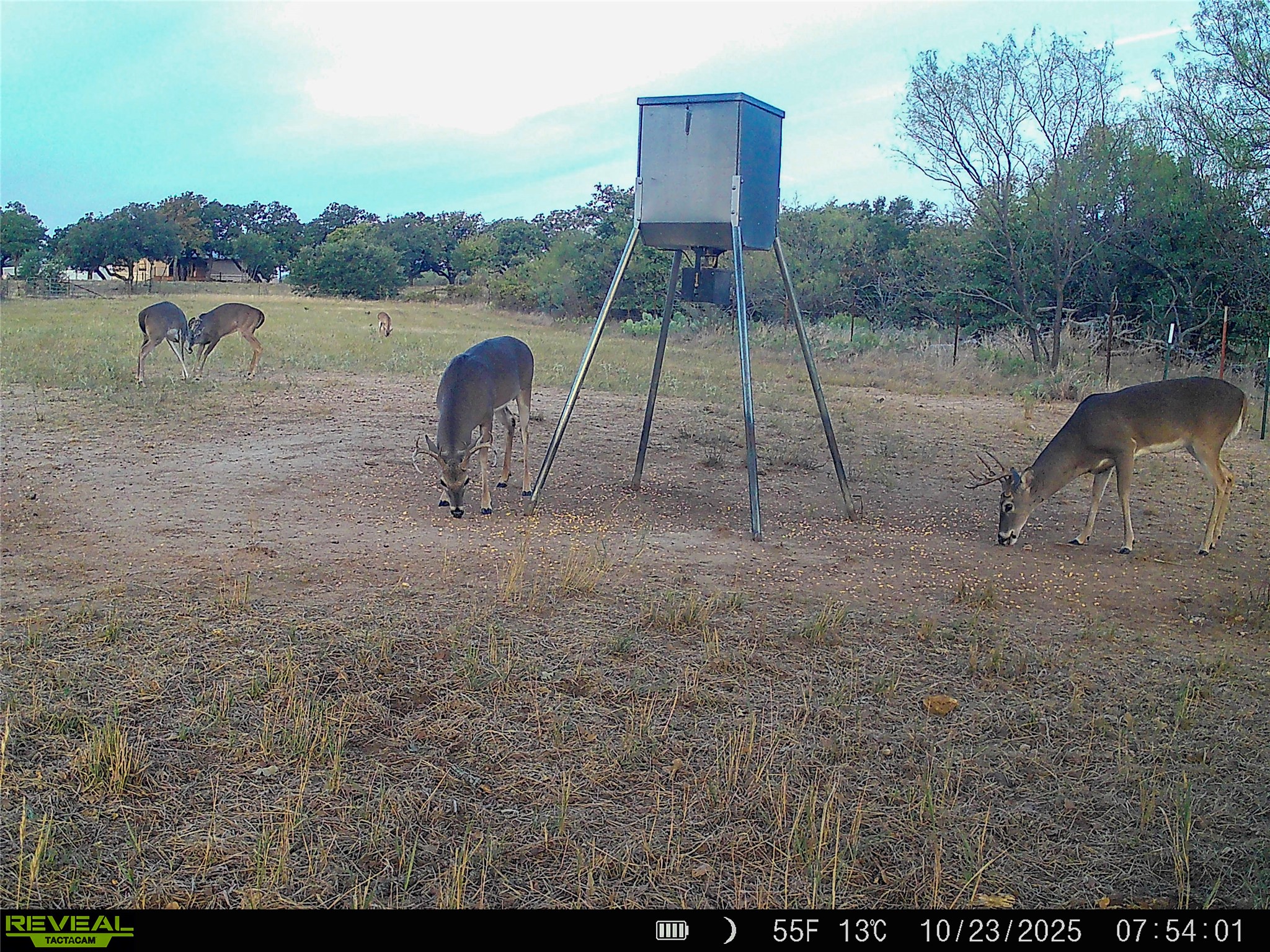 2417 Highway 569 Cisco TX 76437
