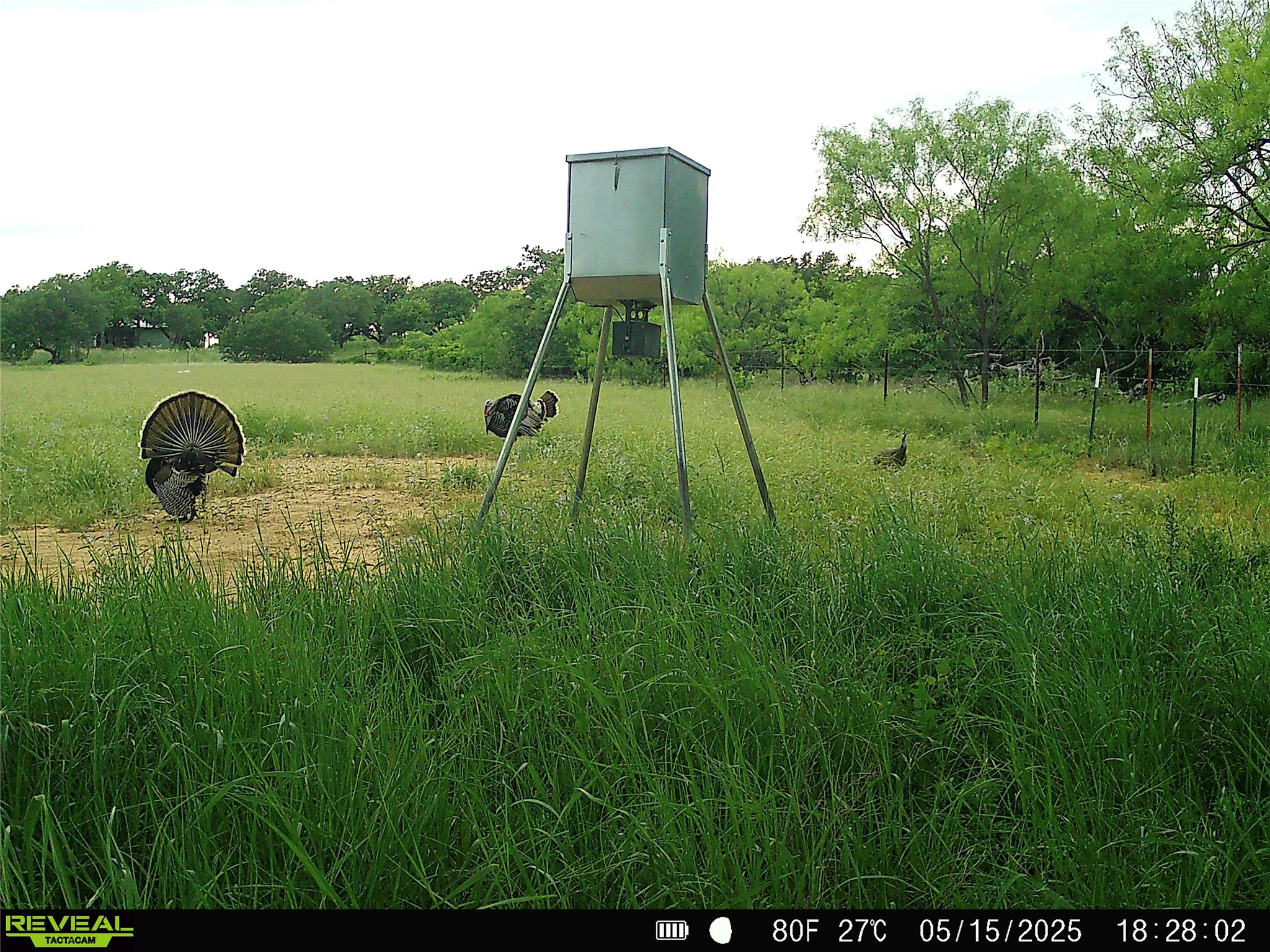 2417 Highway 569 Cisco TX 76437