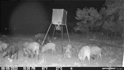 2417 Highway 569 Cisco TX 76437