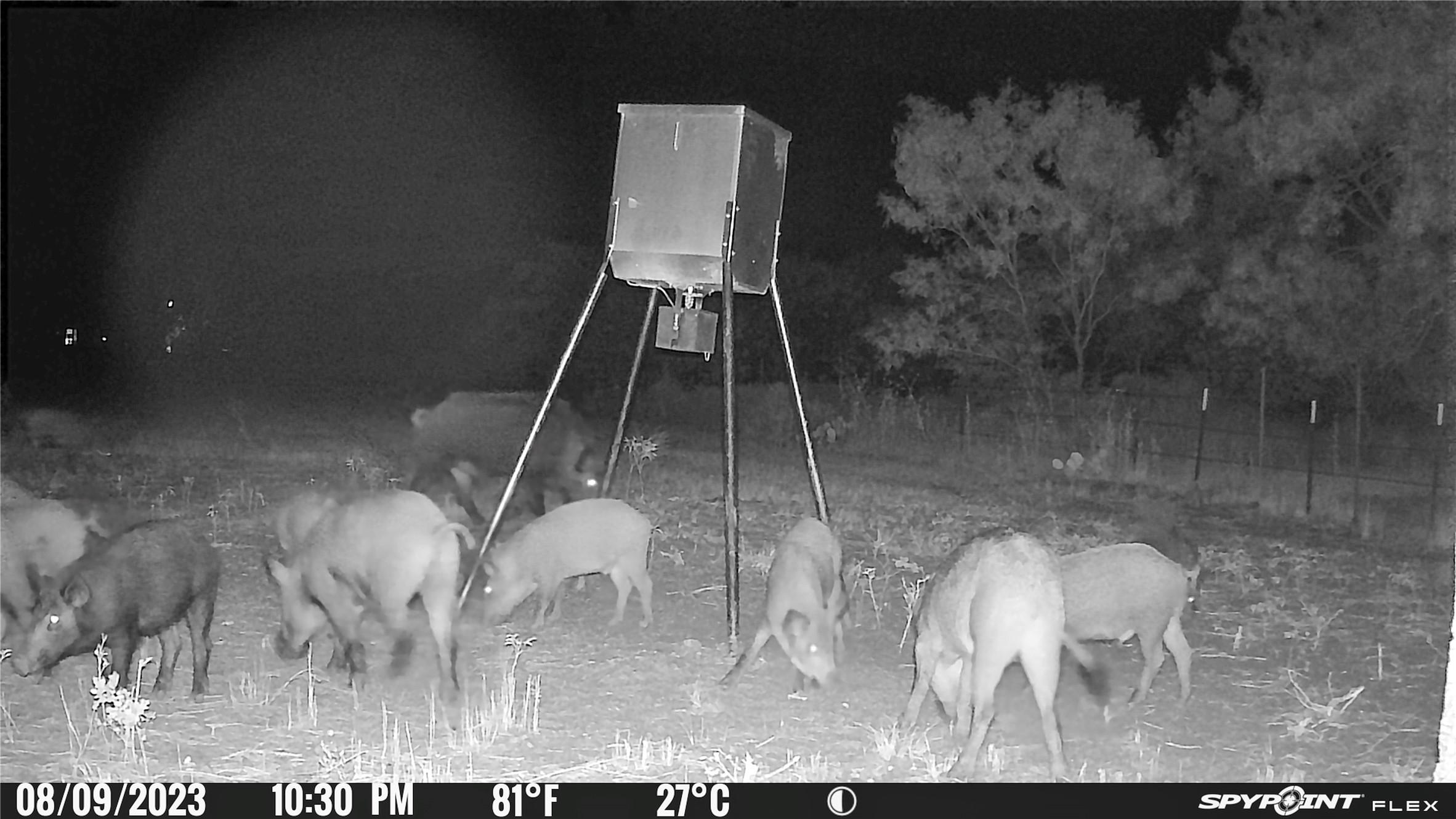 2417 Highway 569 Cisco TX 76437