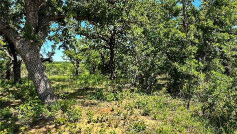 2417 Highway 569 Cisco TX 76437