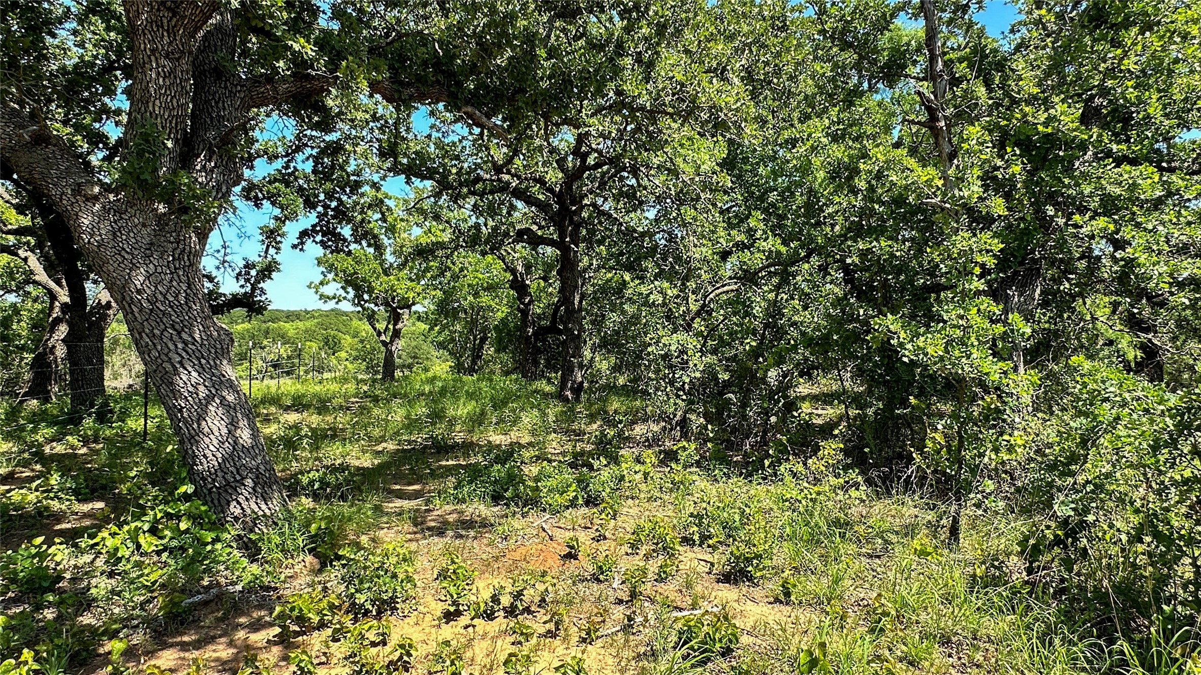2417 Highway 569 Cisco TX 76437