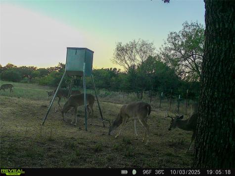 2417 Highway 569 Cisco TX 76437