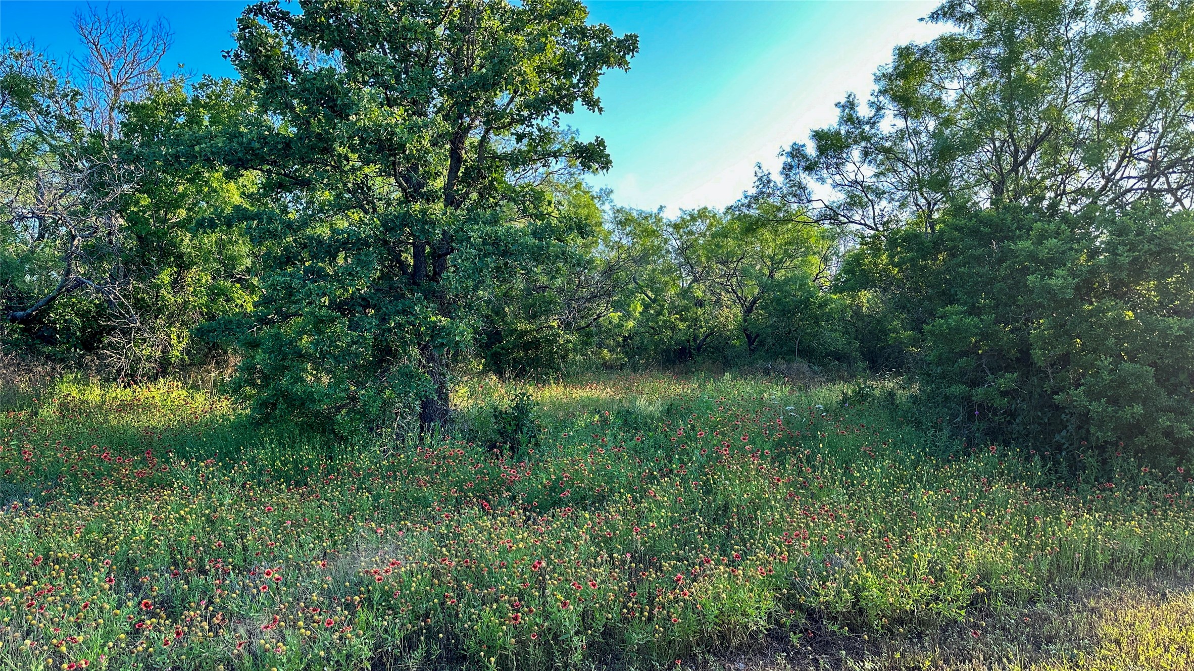2417 Highway 569 Cisco TX 76437