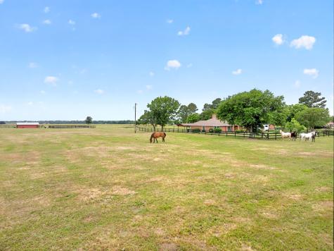 1401 Vz County Road 3411 Wills Point TX 75169