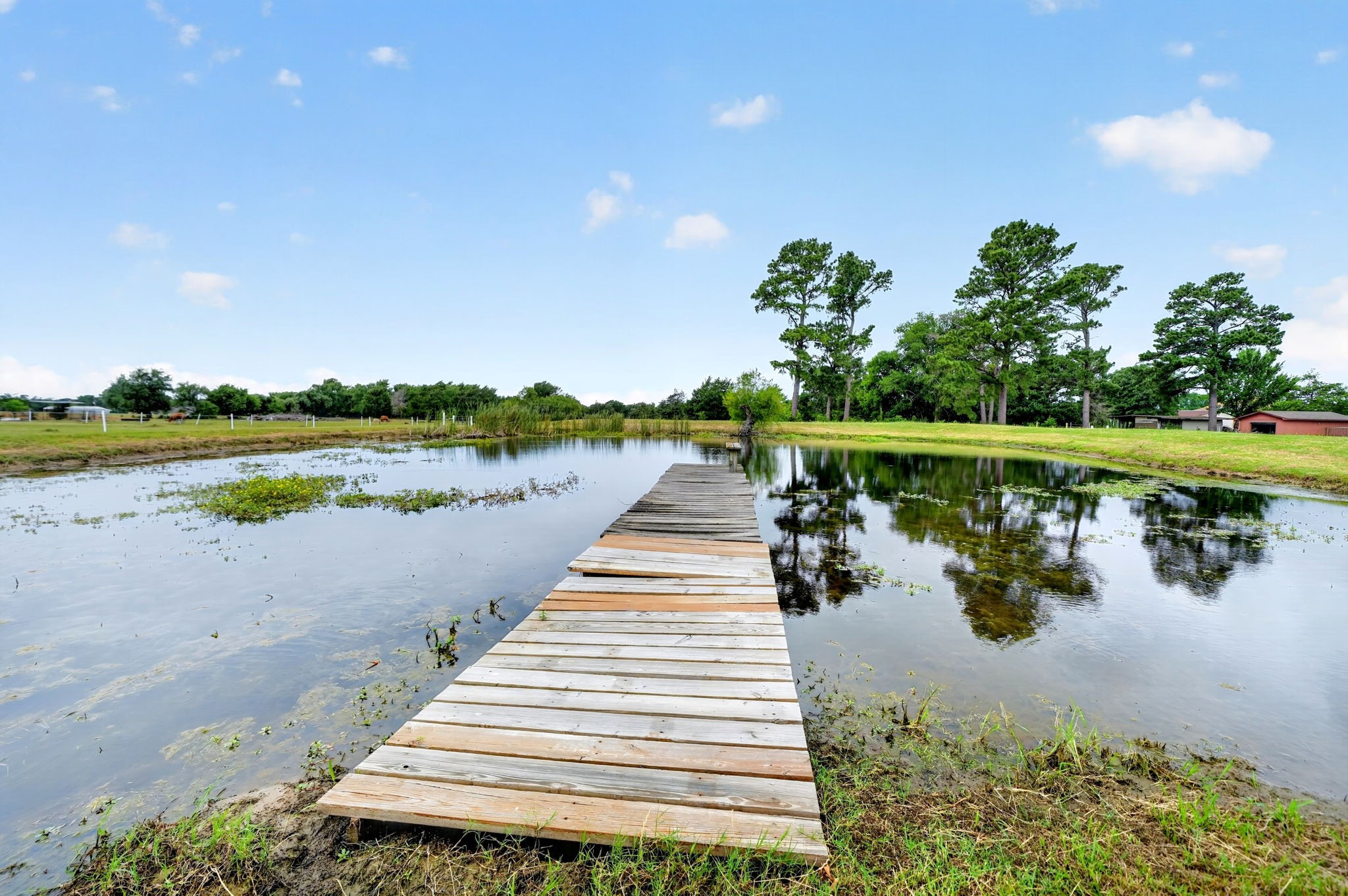 1401 Vz County Road 3411 Wills Point TX 75169