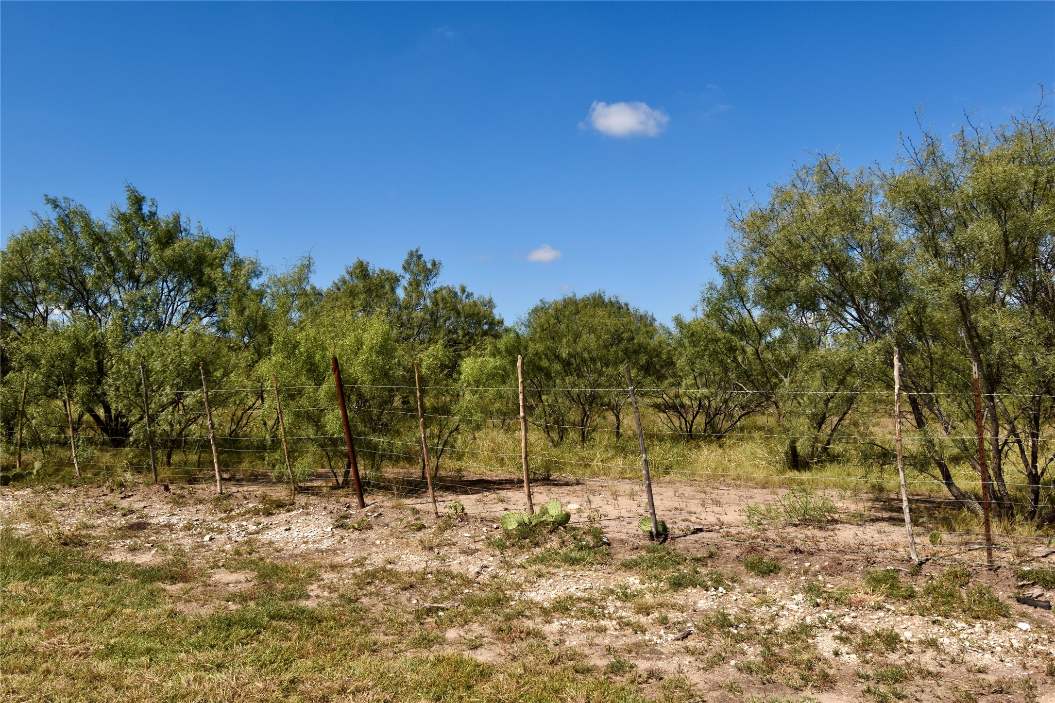 159 Private Road 939 Brady TX 76825
