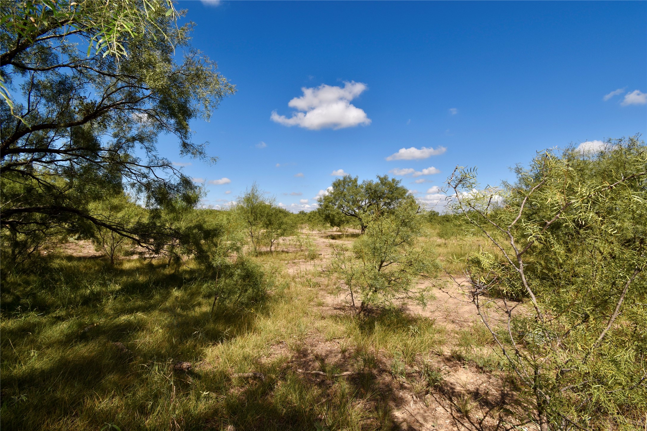 159 Private Road 939 Brady TX 76825