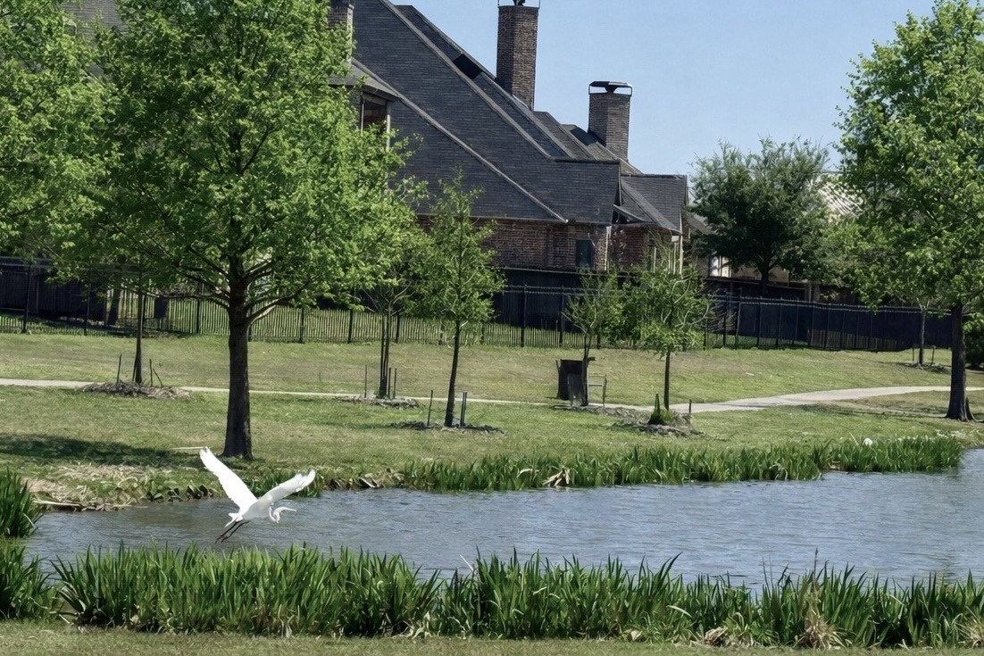 1306 Cypress Creek Way Celina TX 75009