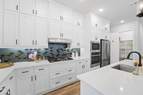 1921 Braided Mane Avenue Aubrey TX 76227