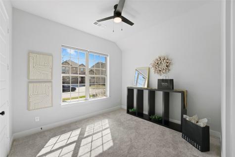 1921 Braided Mane Avenue Aubrey TX 76227