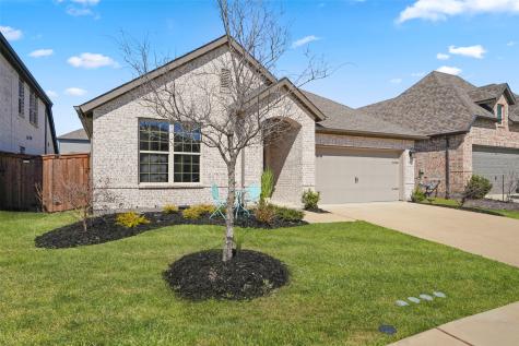 1921 Braided Mane Avenue Aubrey TX 76227