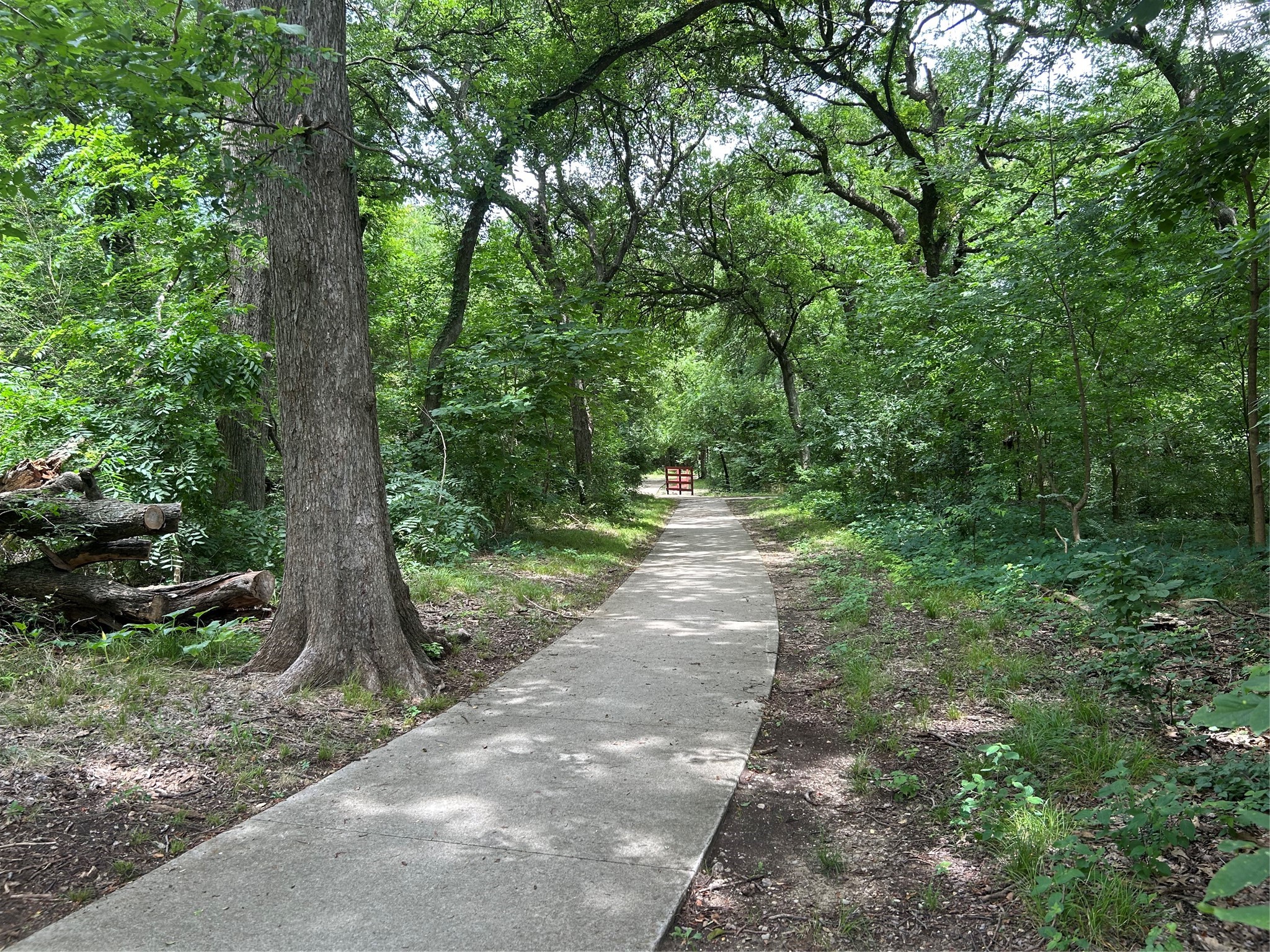 817 Sterling Court Allen TX 75002