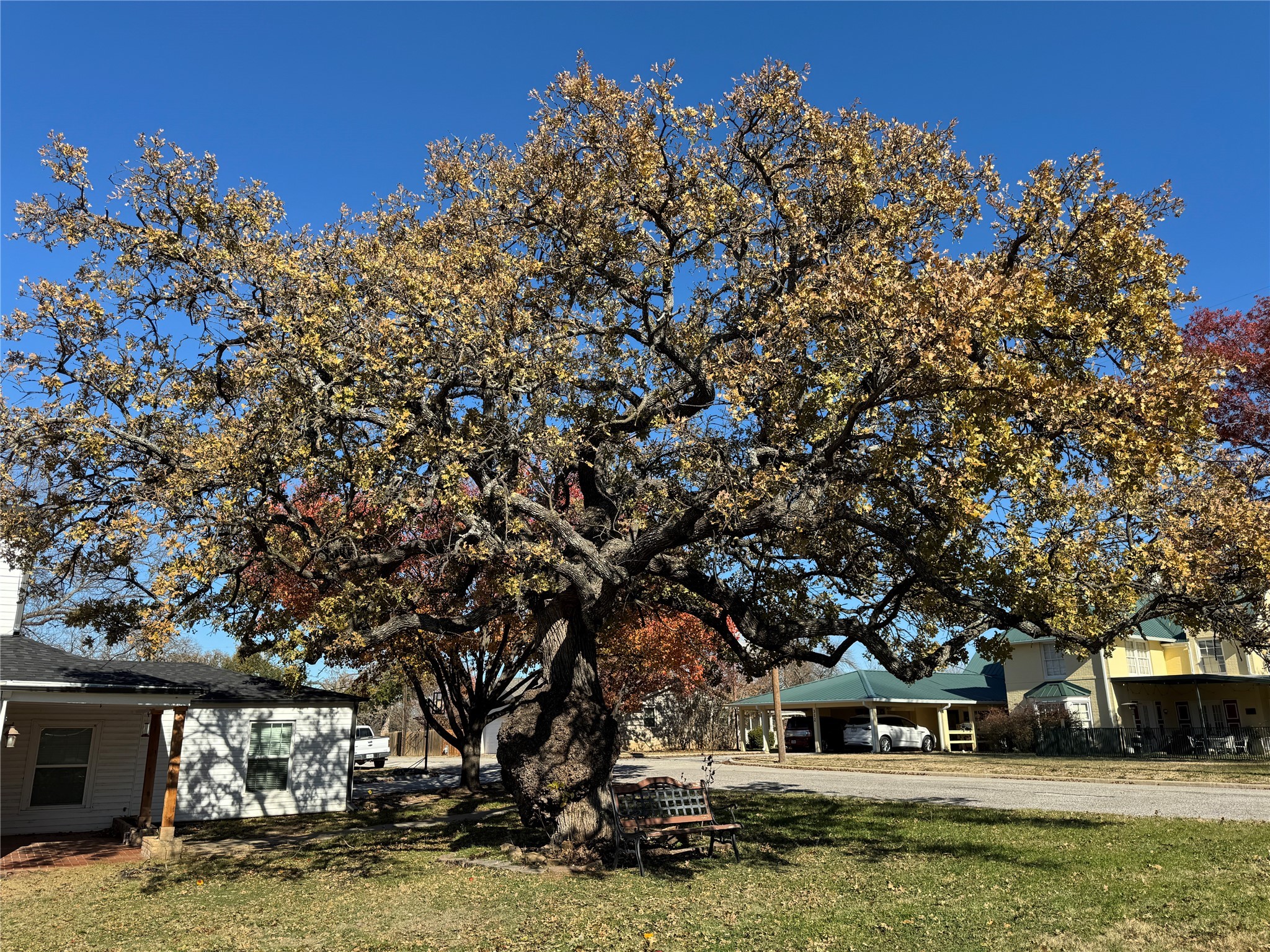 610 W Cedar Street Nocona TX 76255