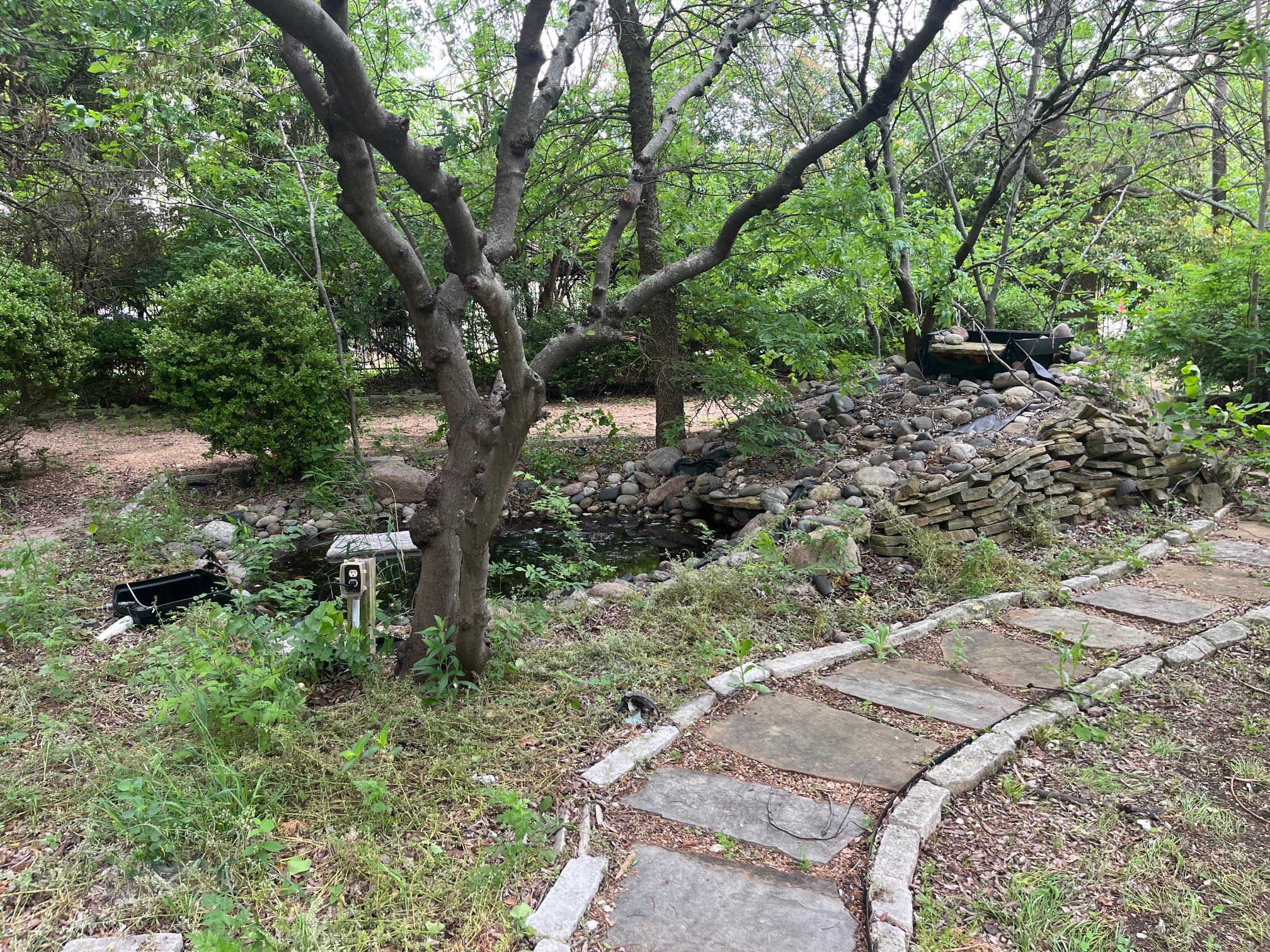 402 E Grand Street Whitewright TX 75491