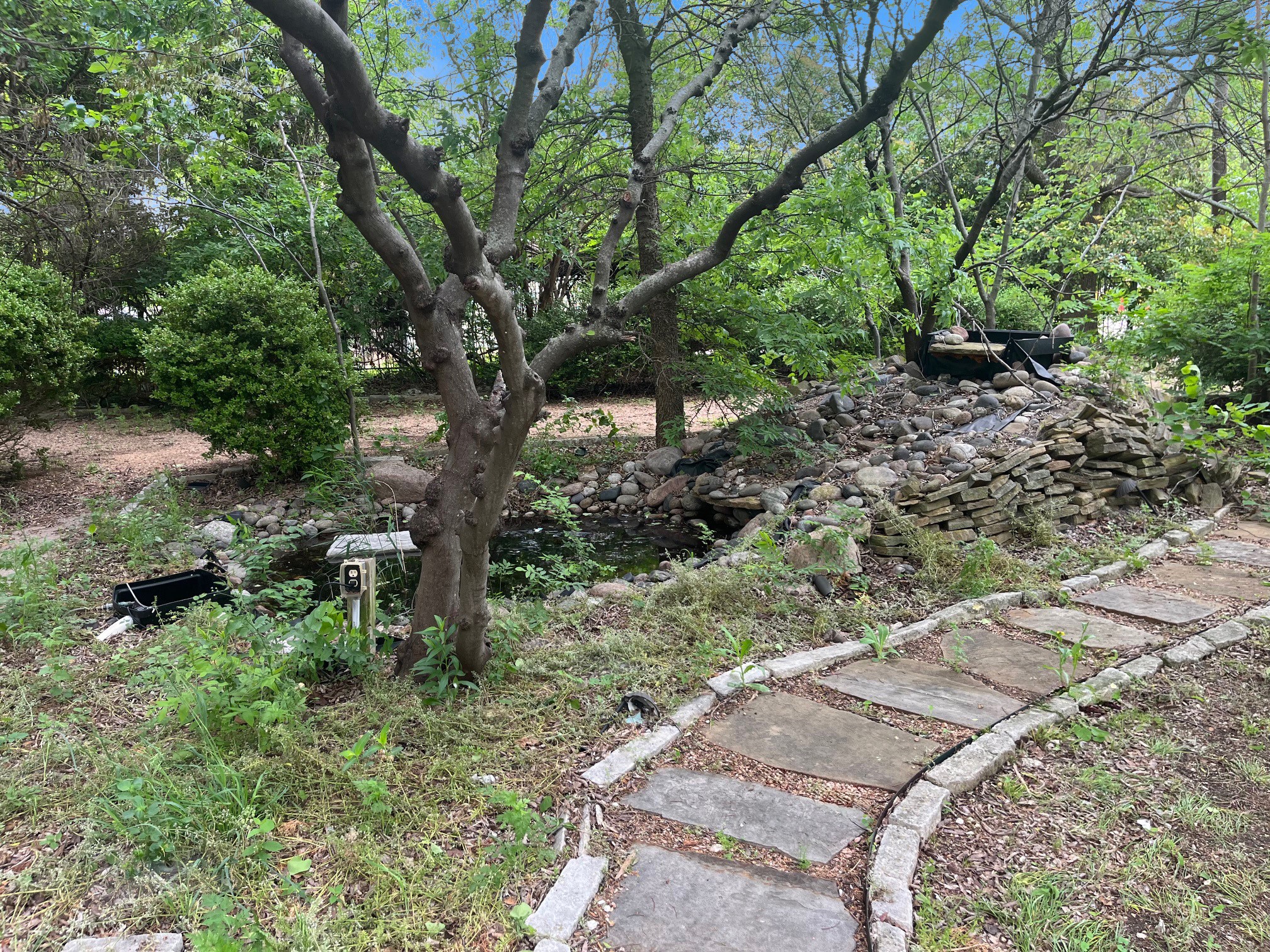 402 E Grand Street Whitewright TX 75491