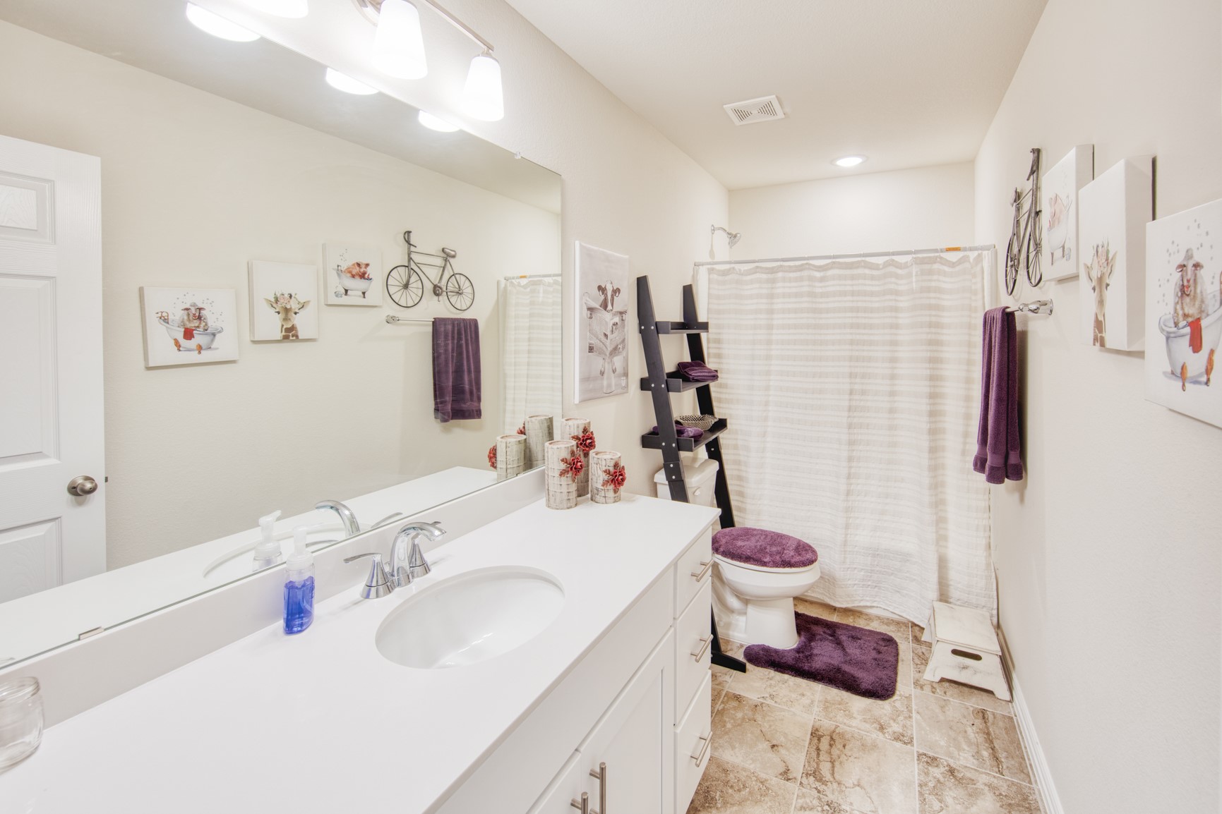 145 Cole Lane Pilot Point TX 76258
