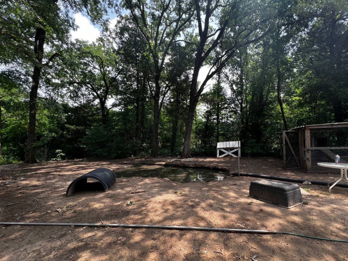 867 Vz County Road 3725 Wills Point TX 75169