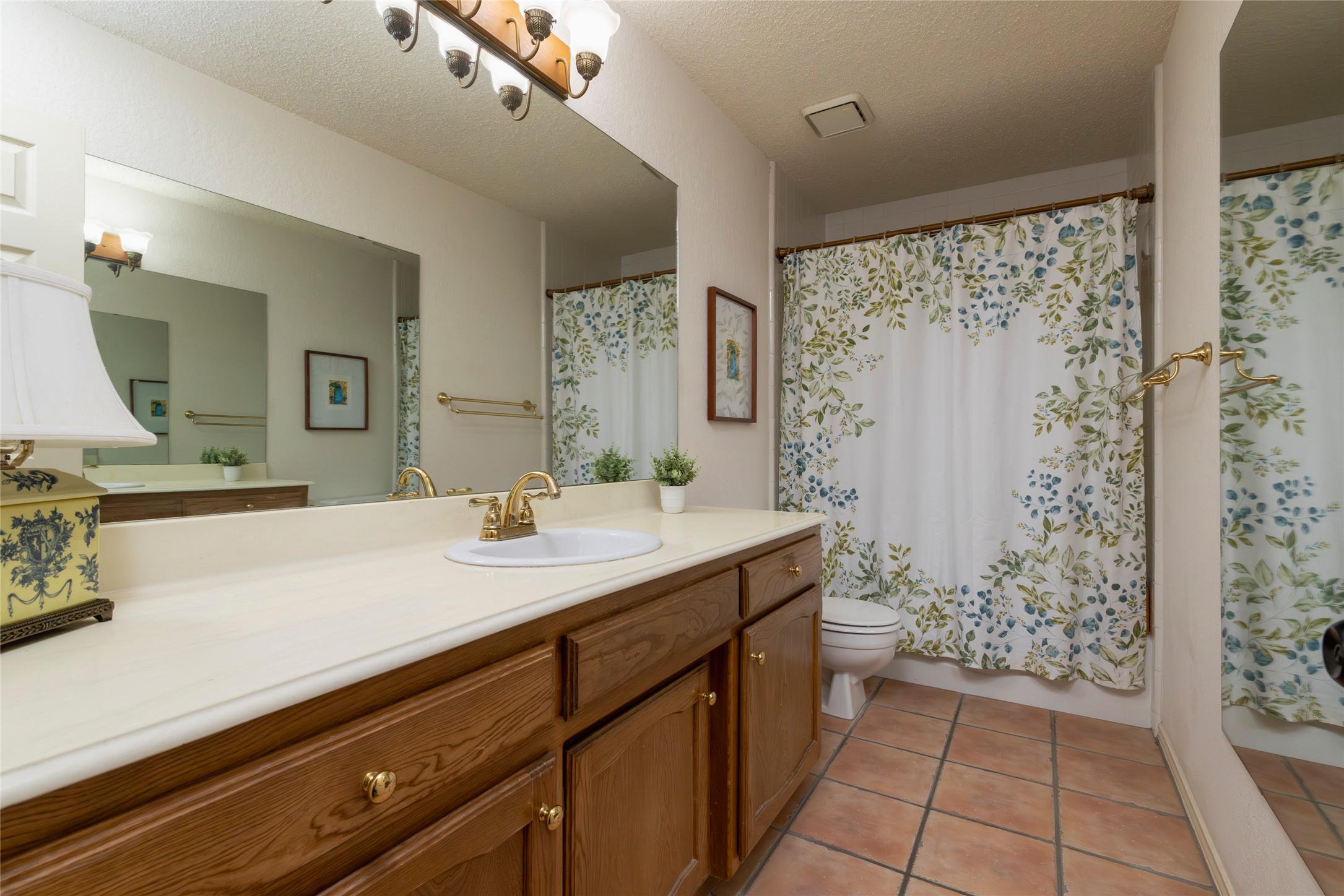 111 Florine Court Hudson Oaks TX 76087