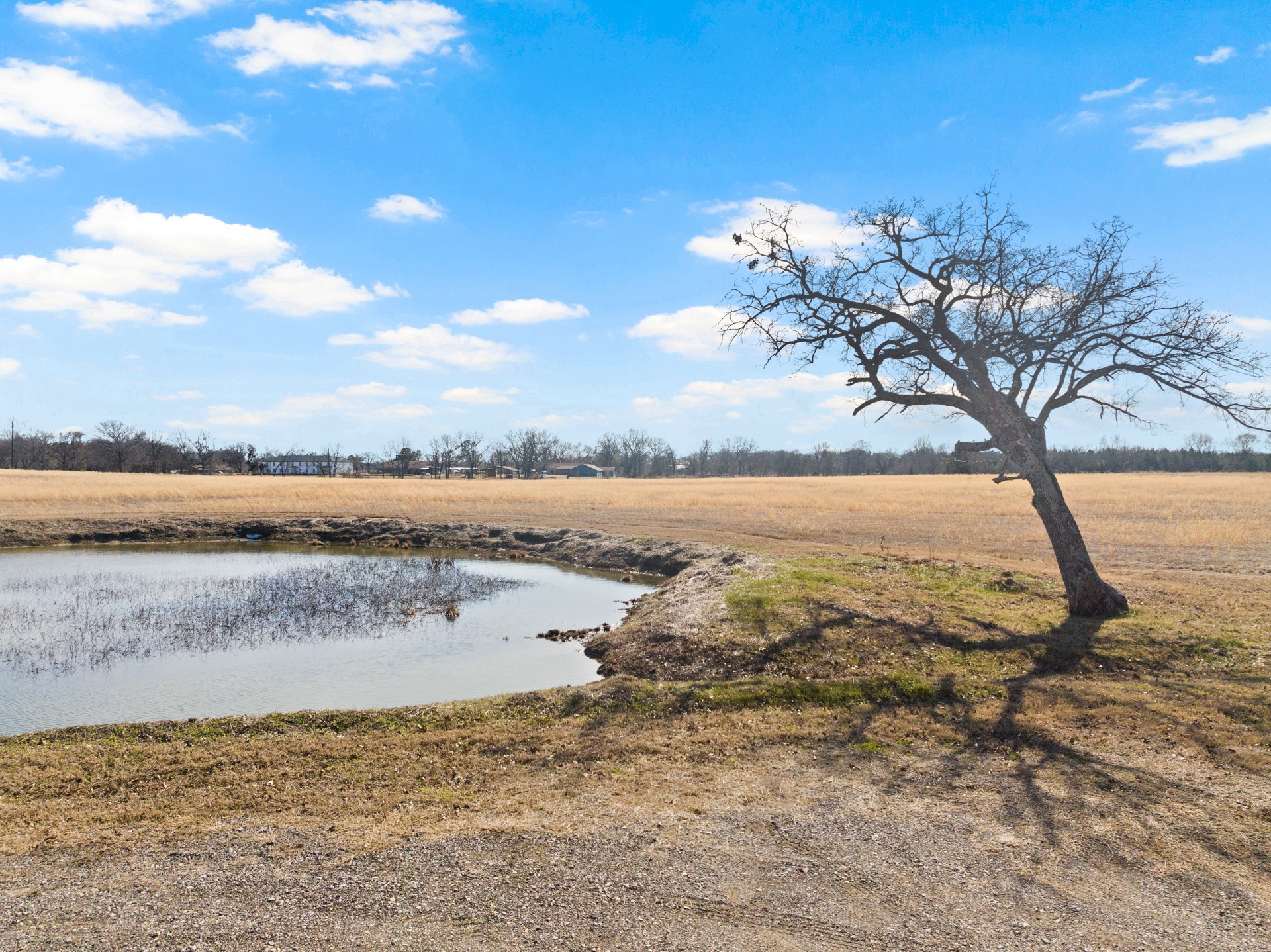 236 County Road 2391 Pickton TX 75471