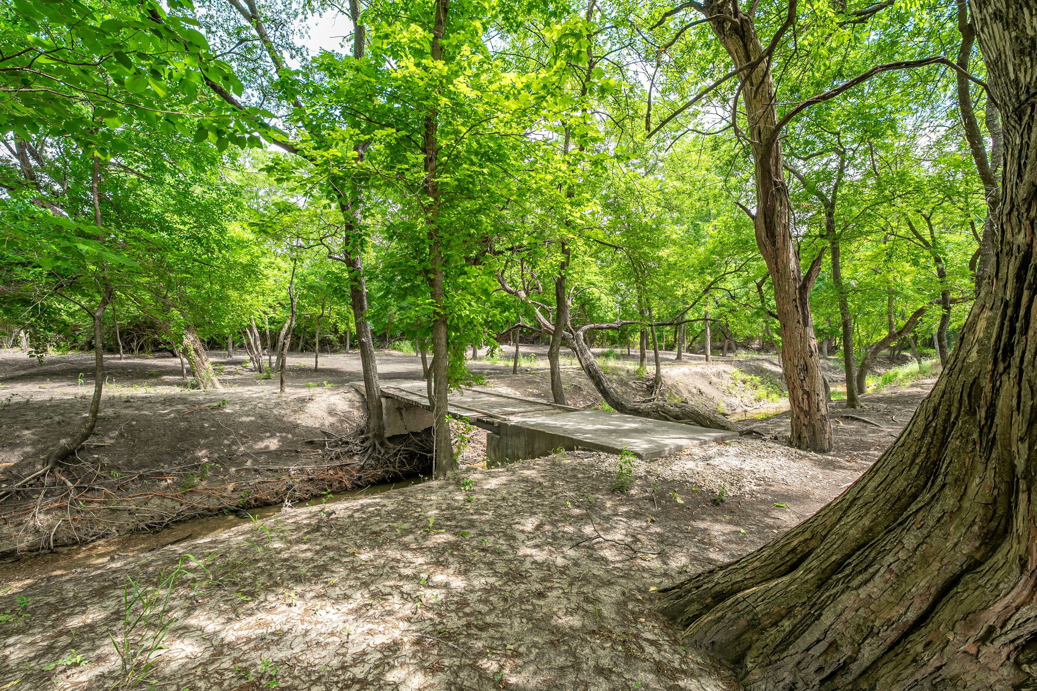 1615 Sara Cove Lucas TX 75002