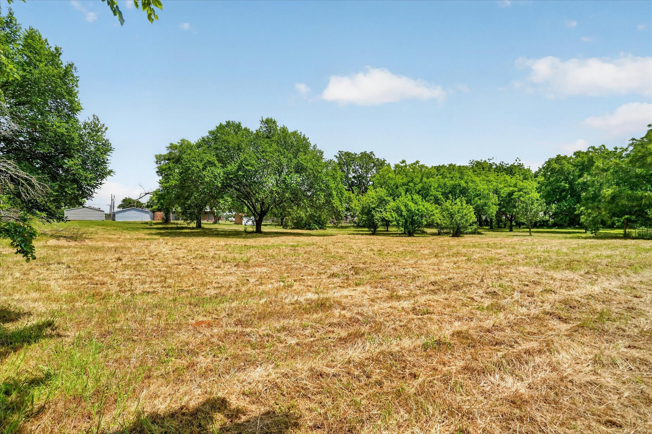 108 Fir Street Keene TX 76059